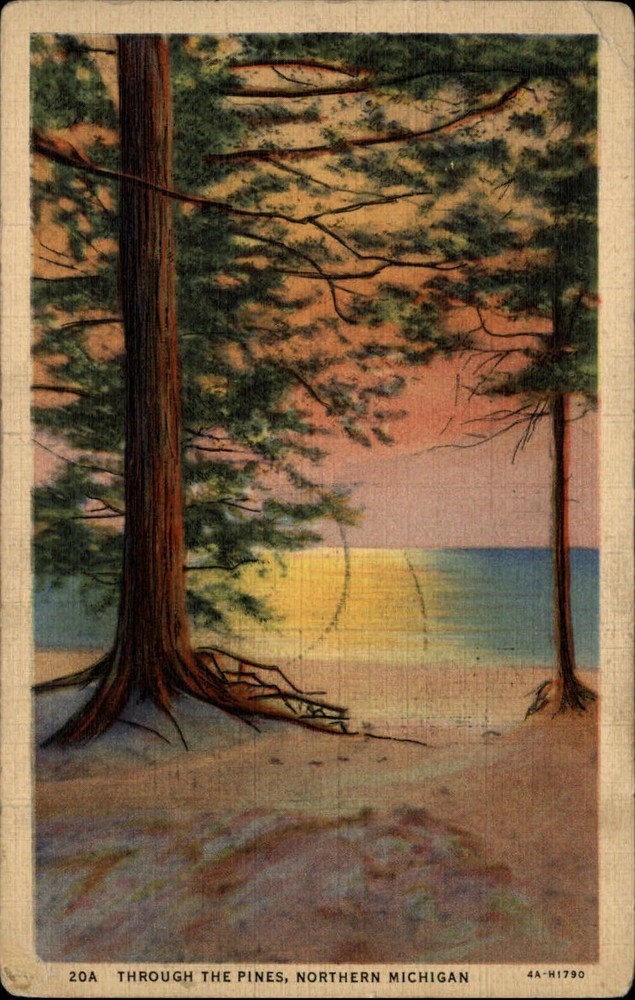 Michigan northern lake shore through pines sunset ~ 1941 linen postcard  ~ s9809