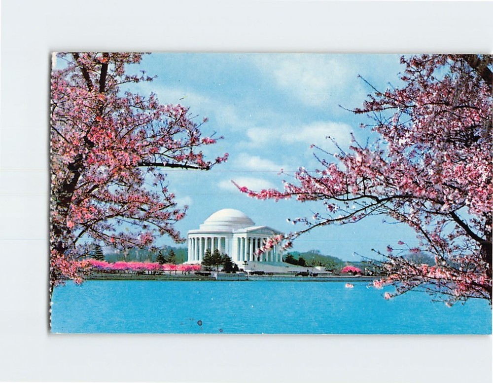 Postcard Jefferson Memorial Washington DC