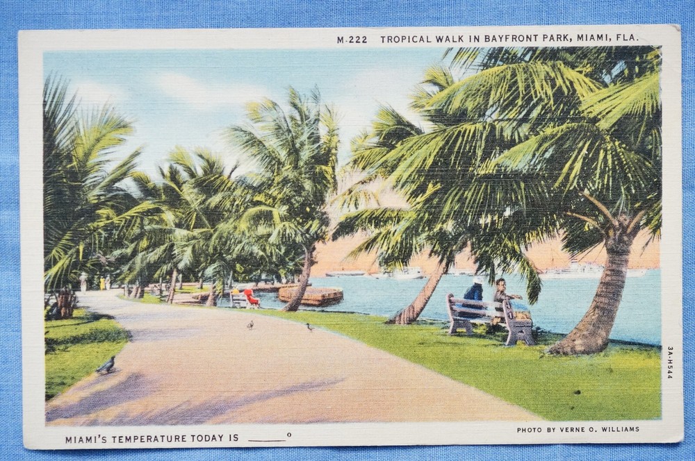 Tropical Walk in Bayfront Park - Miami, Florida