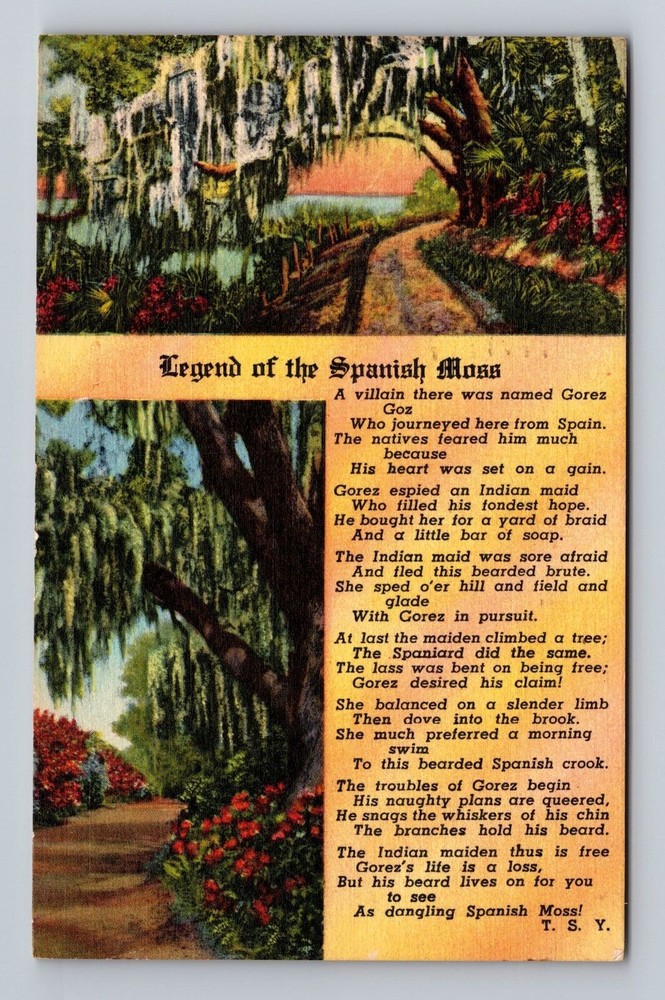Poem Legend Of The Spanish Moss Vintage Postcard