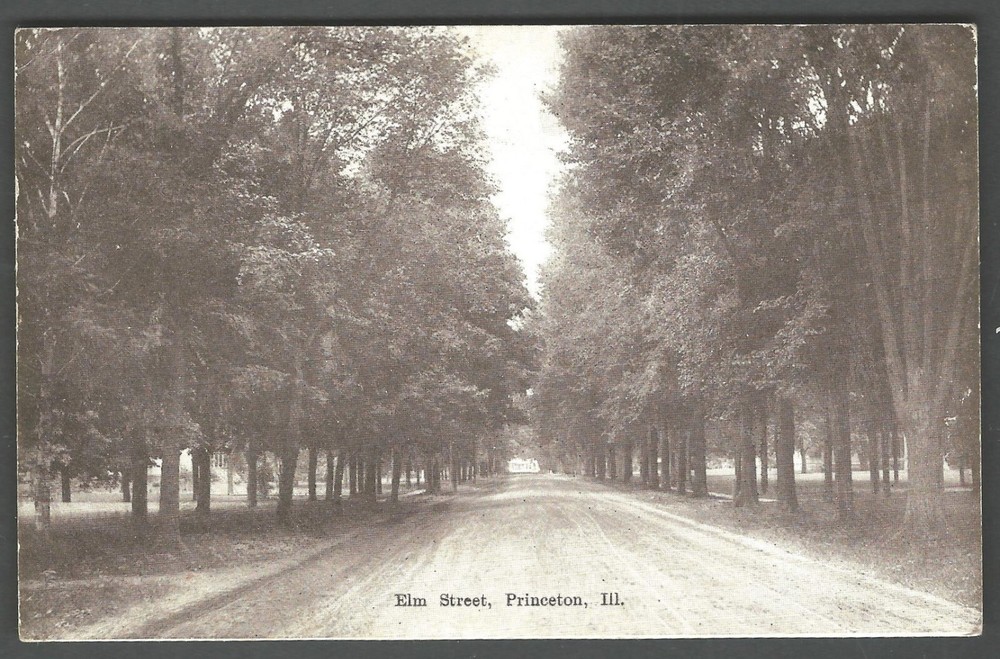 PRINCETON ILLINOIS Elm Street c. 1910 Pearson-Ullberg Minneapolis Postcard