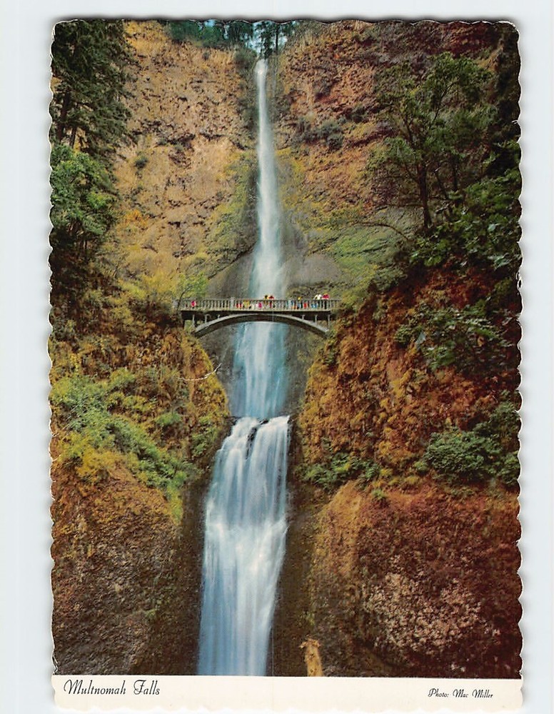Postcard Multnomah Falls Oregon USA
