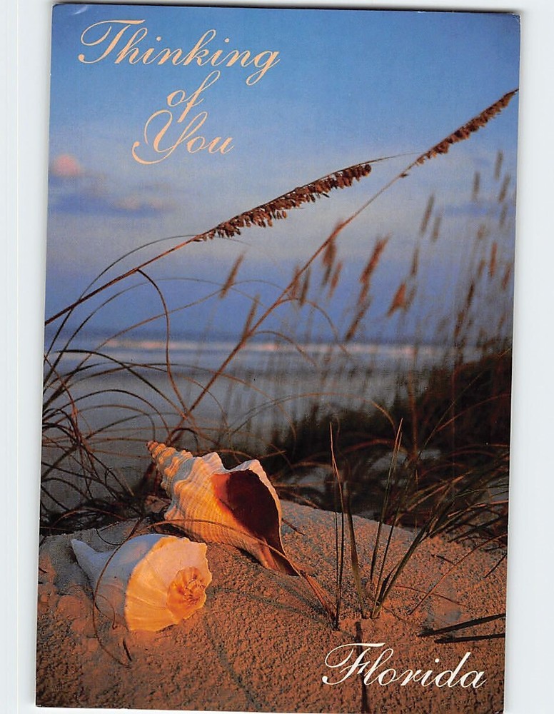 Postcard Thinking of You Florida USA