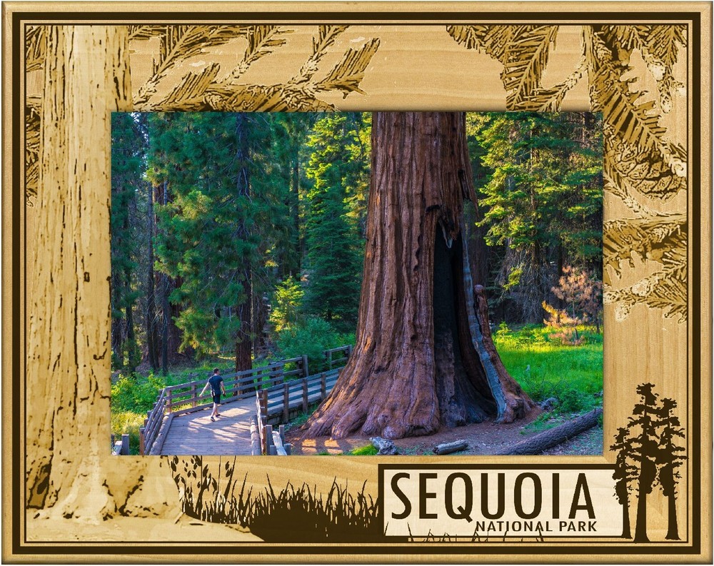Sequoia National Park with Tree's Laser Engraved Wood Picture Frame (4 x 6)