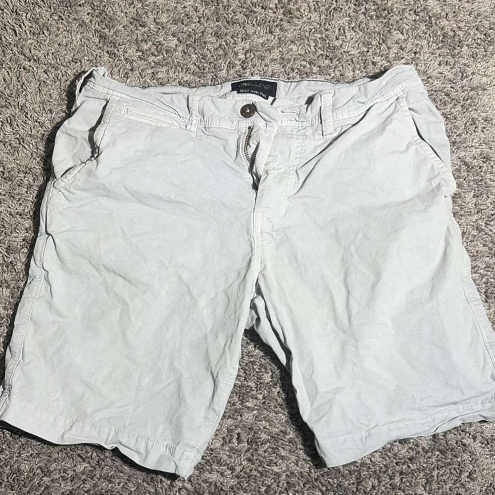 American Eagle Outfitters Next Level Flex Men's Light Gray Stretch Shorts