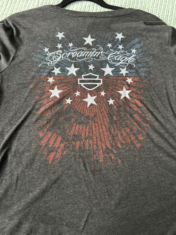 Harley Davidson Screamin Eagle t shirt (2)