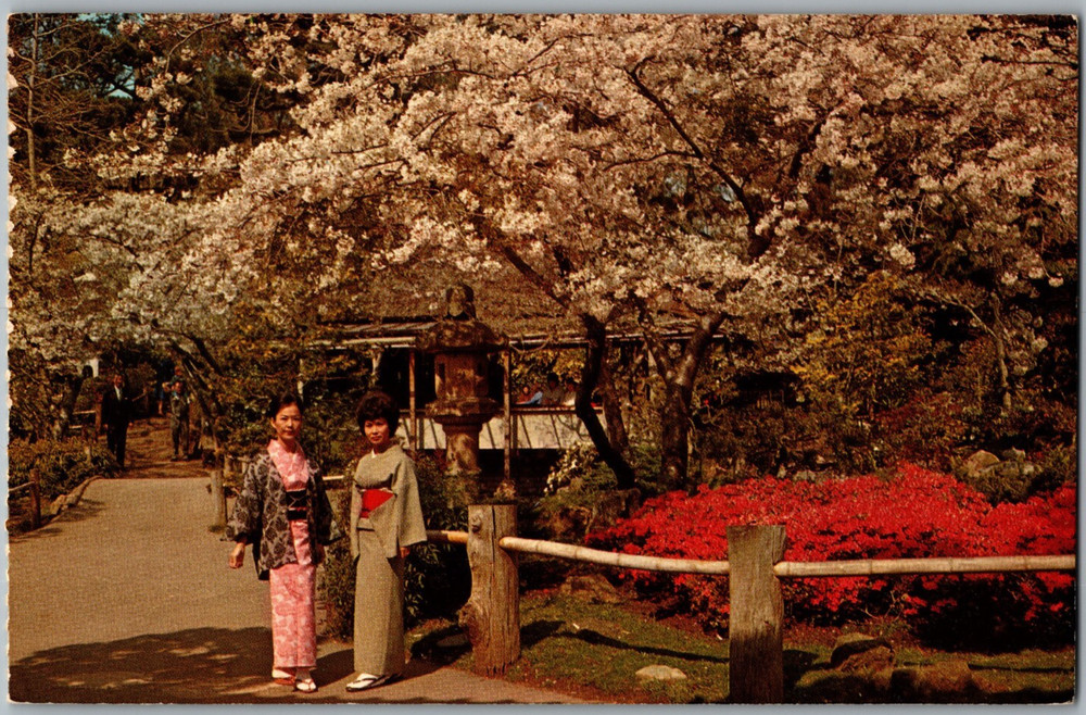 California San Francisco Japanese Tea Garden Golden Gate Park Chrome Postcard