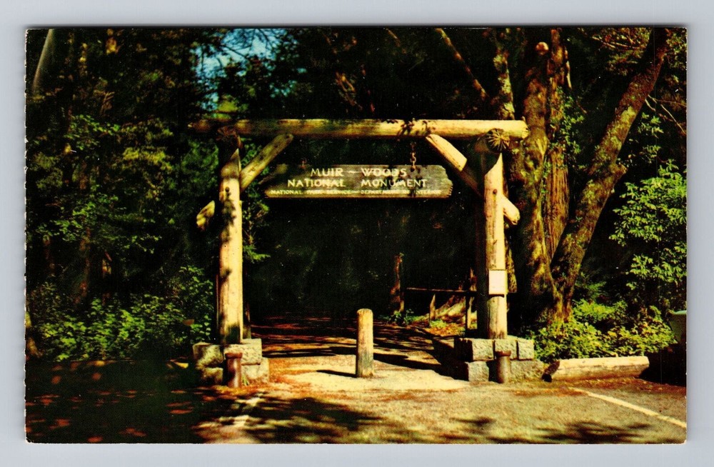 California CA Mill Valley Gateway Muir Woods National Monument Vintage Postcard