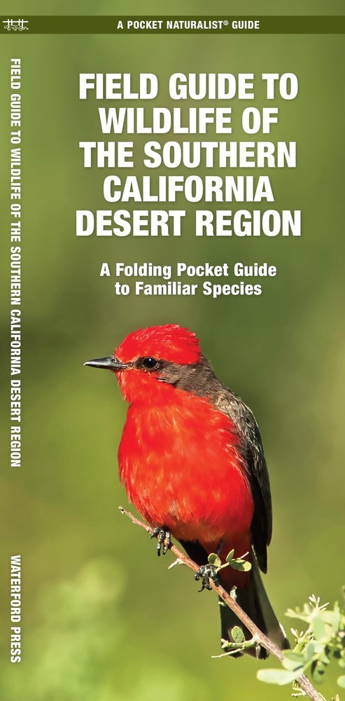 Field Guide to Wildlife of the Southern California Desert Region, 2nd Ed (Nature