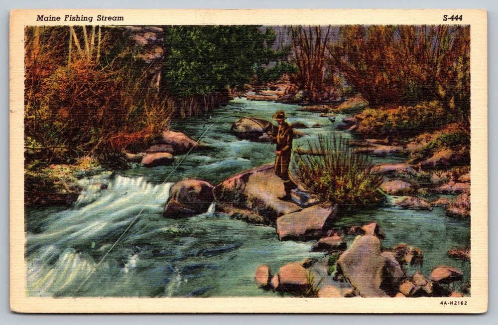 Vintage Maine Fishing Stream Postcard Curt Teich Linen 1946