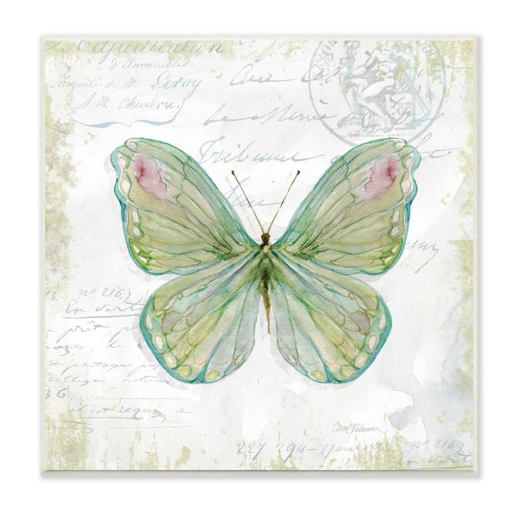 Stupell Antique Butterfly Insect Charming Vintage Postal  12 x 12
