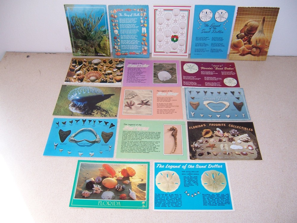 SEASHELLS, SHARKS TEETH, BEACH, NAUTICAL UNUSED 4X6 POSTCARD LOT of 16 DIFF.