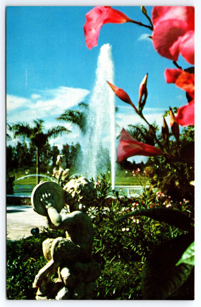 Clearwater Florida Kapok Tree Inn Fountain Flowers Statue Vintage Photo Postcard