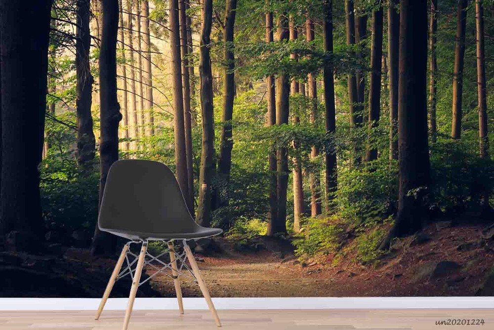 3D Forest Path Landscape Wall Murals Wallpaper Murals Wall Sticker