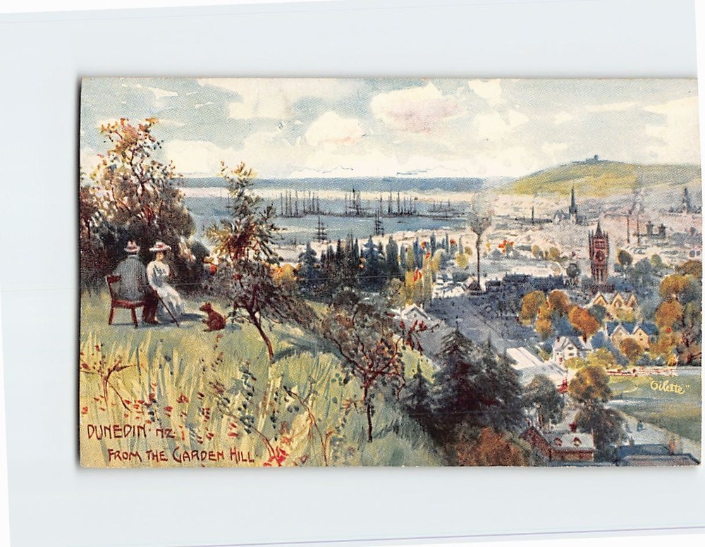 Postcard Dunedin Form The Garden Hill Dunedin New Zealand