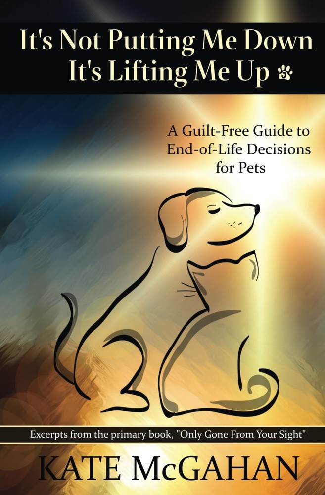 It's Not Putting Me Down It's Lifting Me Up: A Guilt-Free Guide to End of Life D