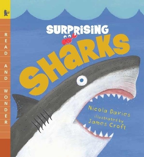 Surprising Sharks: Read and Wonder, Davies, Nicola