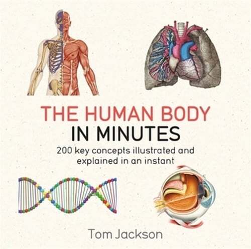 The Human Body in Minutes by Tom Jackson: Used