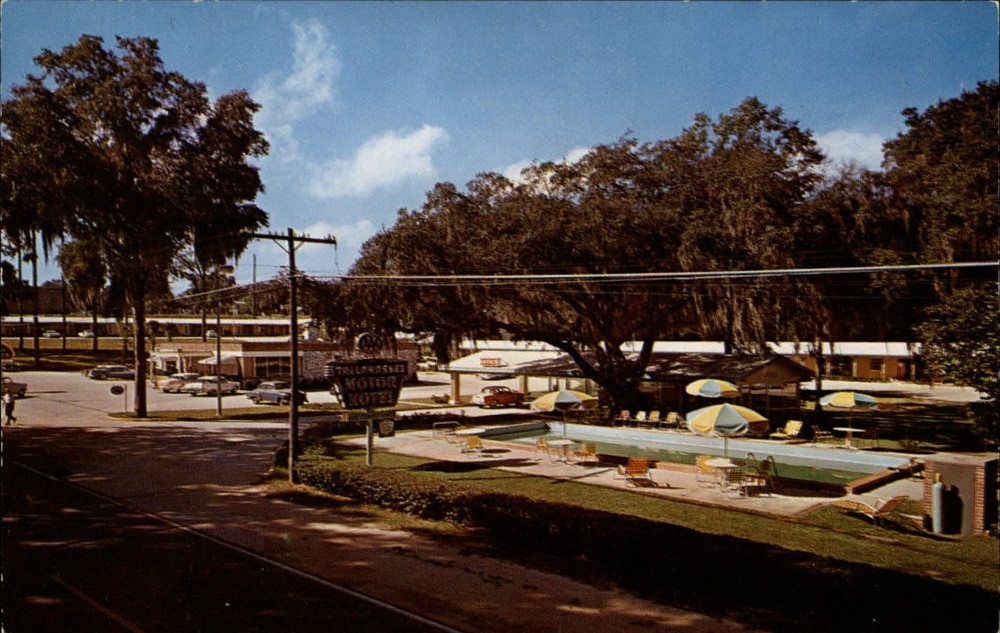 Tallahassee Motor Hotel & Dining Room ~ Florida 1950s cars pool vintage postcard