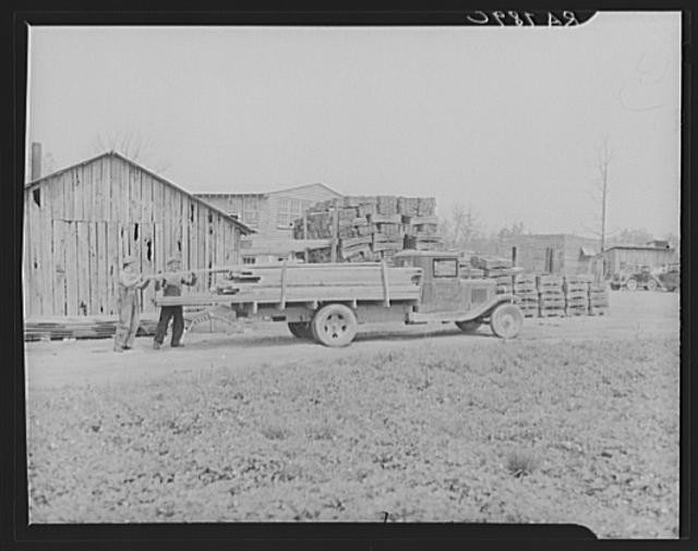 Cumberland Homesteads,Crossville,Tennessee,TN,Farm Security Administration,4
