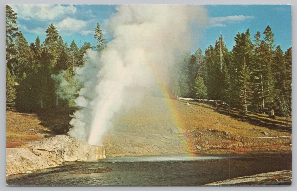 National & State Parks~Yellowstone Park~Riverside Geyser~Vintage Postcard