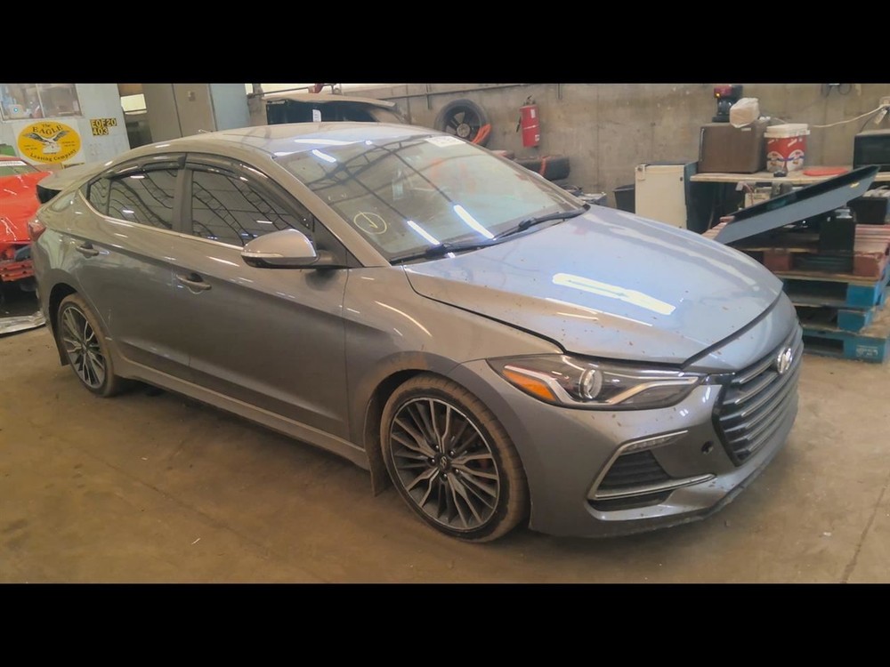 ELANTRA   2017 Fuel Filler Door 6410745