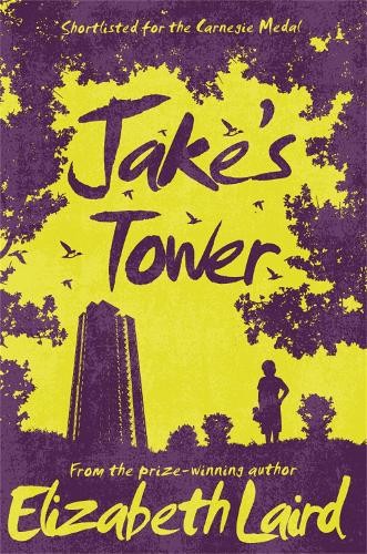 Elizabeth Laird Jake's Tower (Paperback)Another great item from Rarewaves USA | Free delivery!