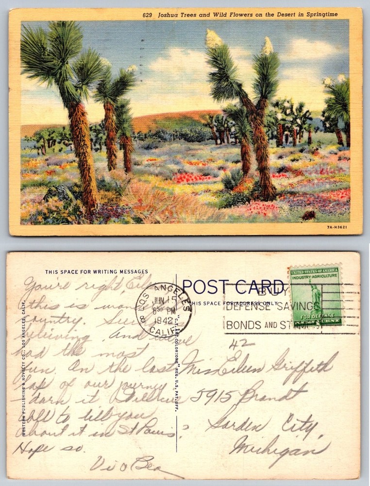 1942 Joshua Trees Wild Flowers Desert Springtime Linen Postcard Los Angeles