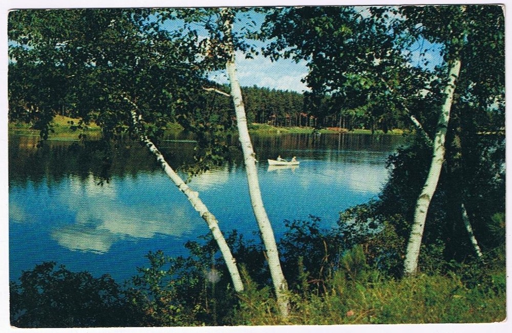 Postcard Greetings From Higgins Lake State Park Roscommon Michigan