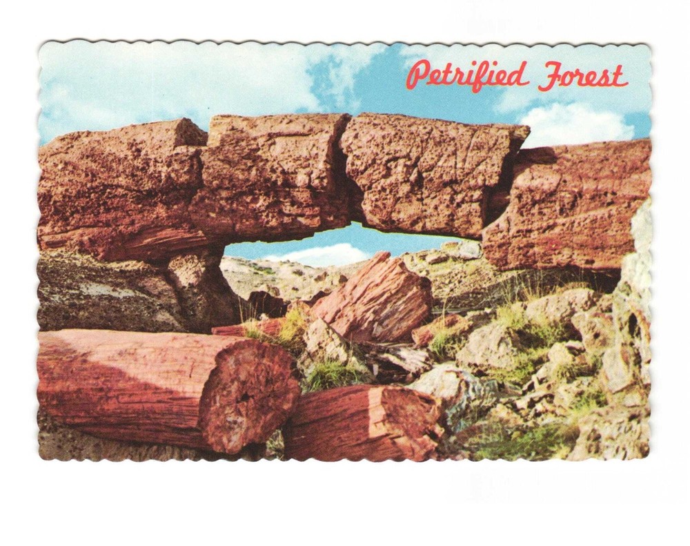 Arch of Petrified Wood Petrified Forest National Park Arizona VTG postcard Unp