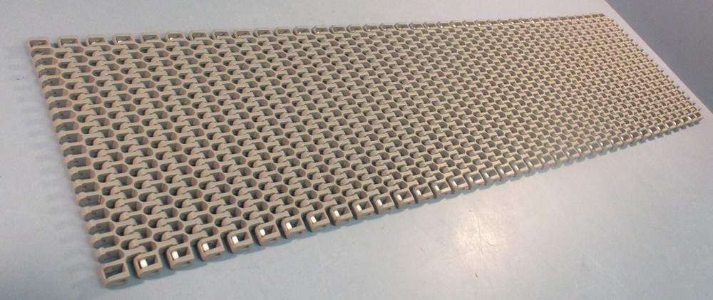 Intralox S2400 Conveyor Belt 10
