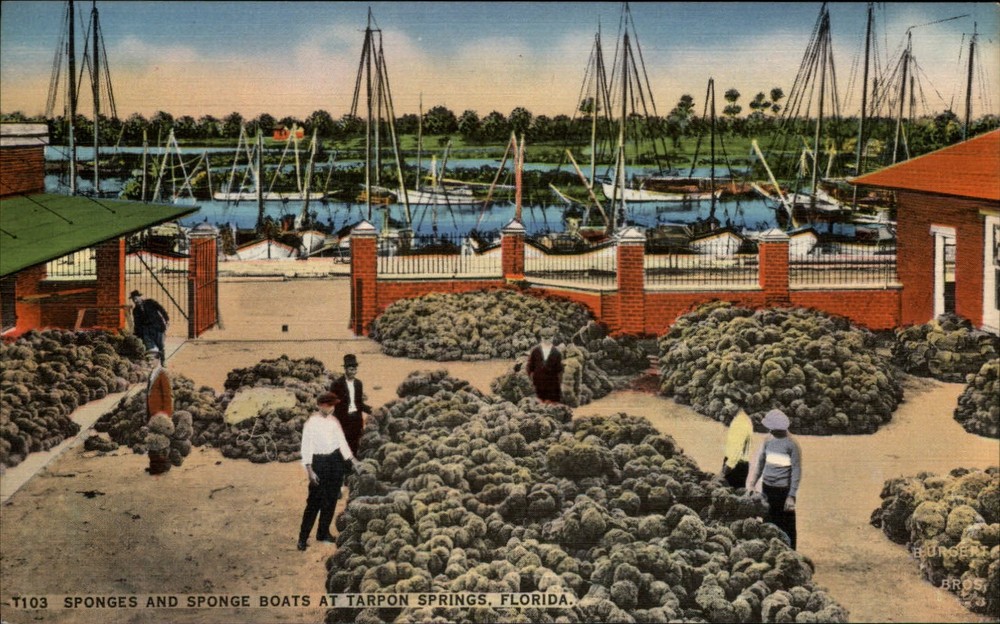 Tarpon Springs Florida ~ Sponges ~ Sponge Boats ~ pier ~ linen postcard sku329