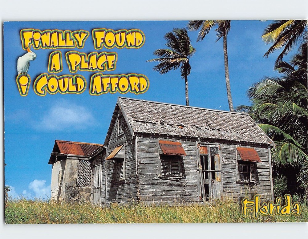 Postcard Finally Found A Place I Could Afford Florida USA