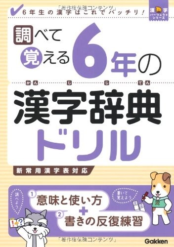 First Grade Kanji Jiten Drill 6 Japan Japanese Study Learning Pr... book form JP