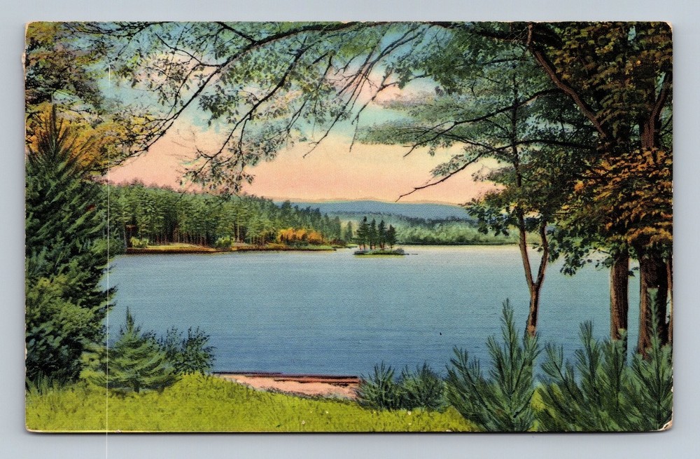 Vintage 1950s Mancelona Michigan Scenic Lake Postcard Tichnor Bros