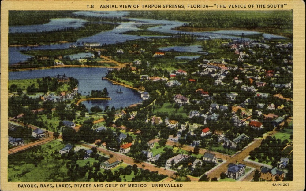 Tarpon Springs Florida FL aerial view ~ 1930s vintage postcard