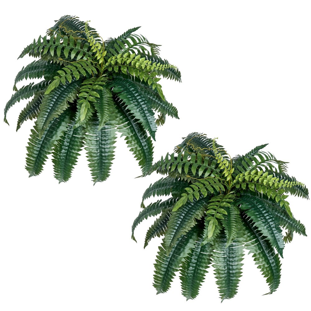 Uimoso Pack of 2 40