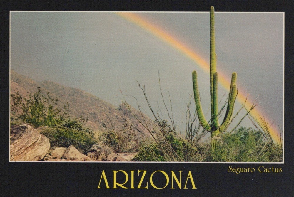 Rainbow And Saguaro Cactus Arizona Desert 4x6 Postcard
