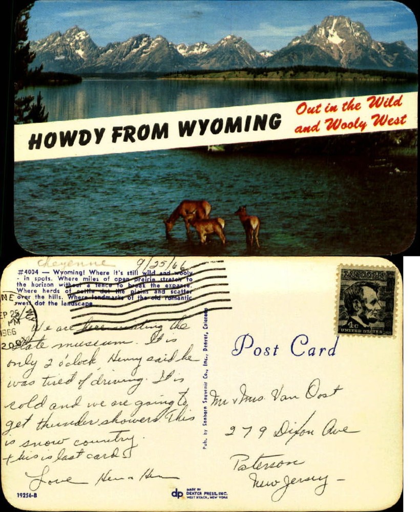 Howdy from Wyoming deer mountains lake WY mailed 1966 chrome old postcard