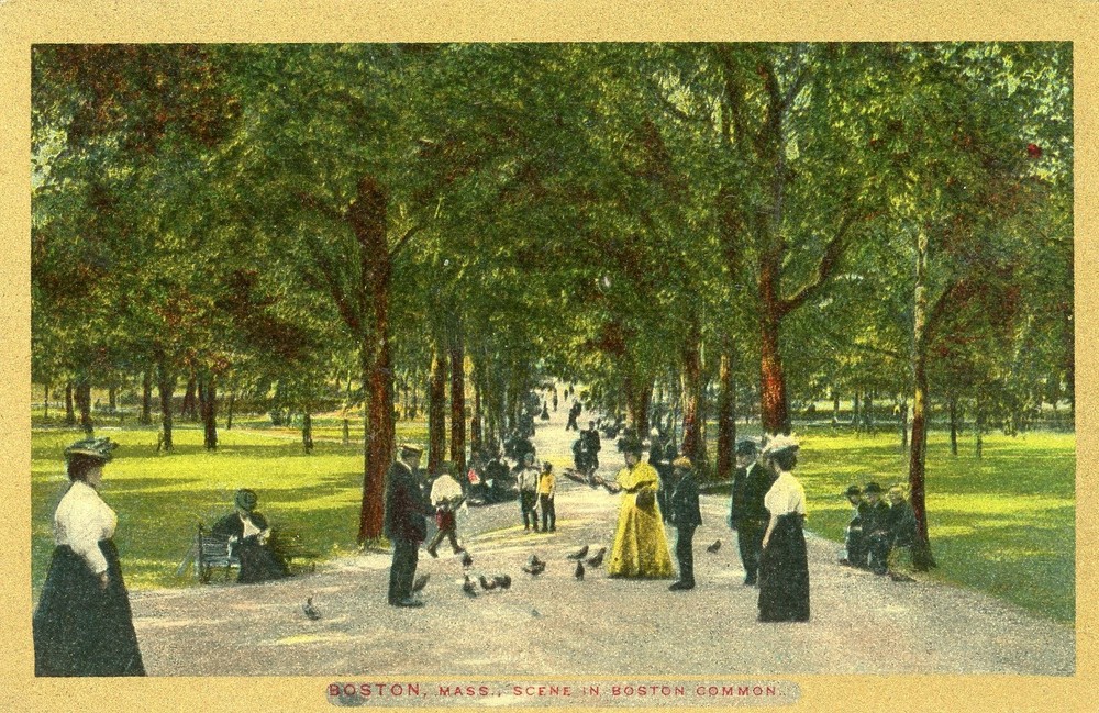 Boston Common, Boston, Massachusetts, Vintage, Posted, VG --POSTCARD