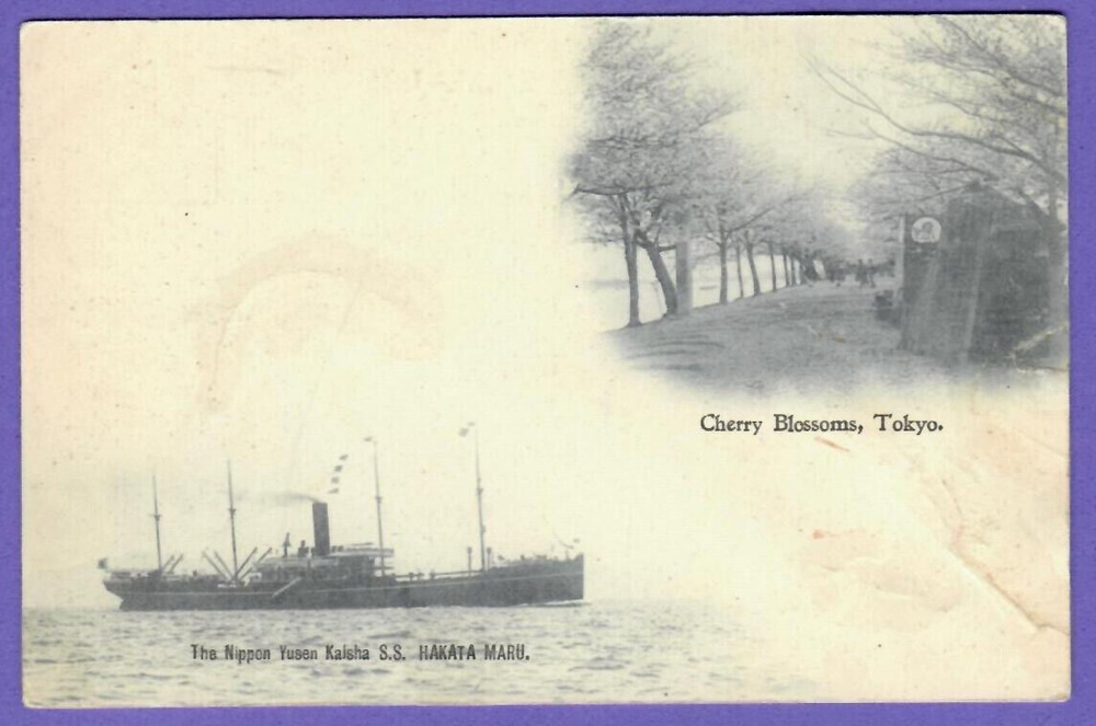 Japan Tokyo Cherry Blossoms, Ship Hakata Maru, Vintage Pc. 8007