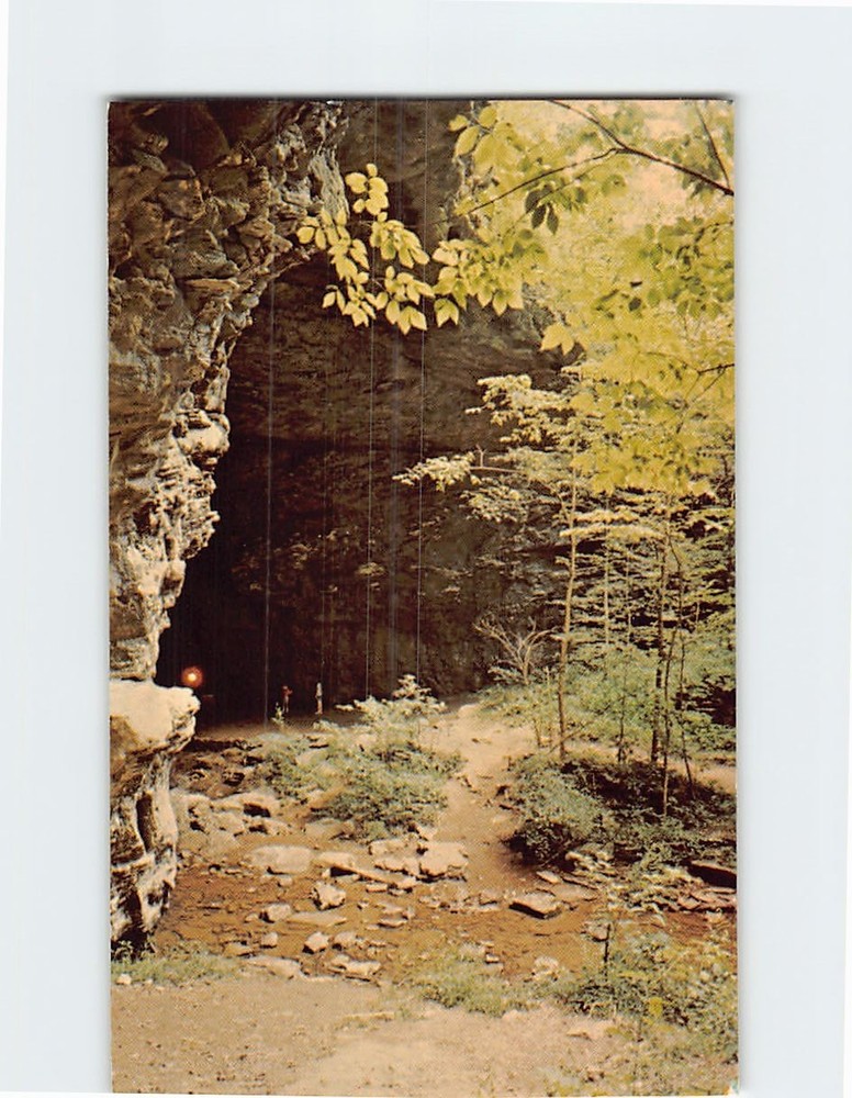 Postcard Natural Bridge Carter Caves State Resort Park Olive Hill Kentucky USA