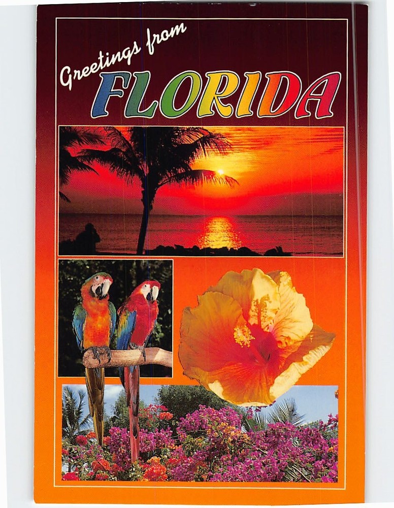 Postcard Greetings from Florida USA