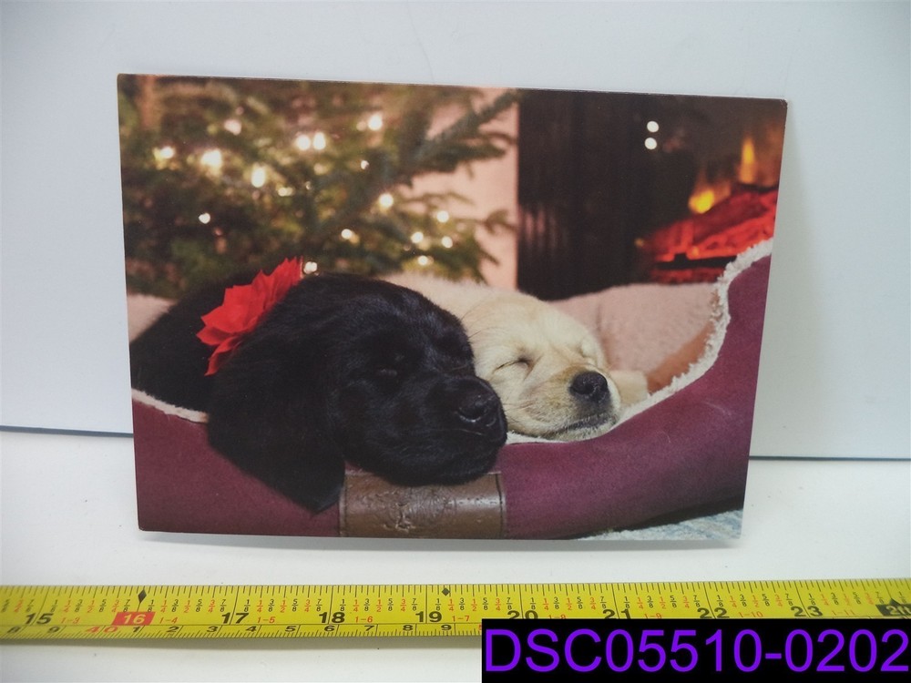 Qty =20: The Seeing Eye Braille Puppy Christmas Cards with Envelopes