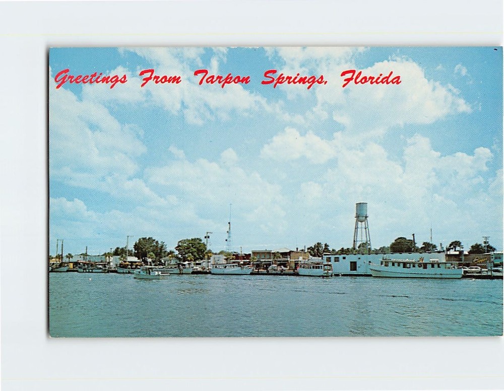 Postcard Sponge Docks Greetings from Tarpon Springs Florida USA