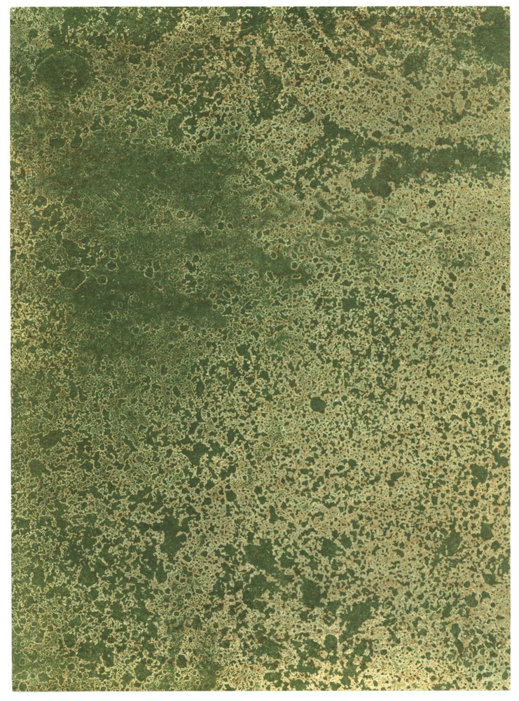 Francois Fiedler original lithograph printed in 1974 b
