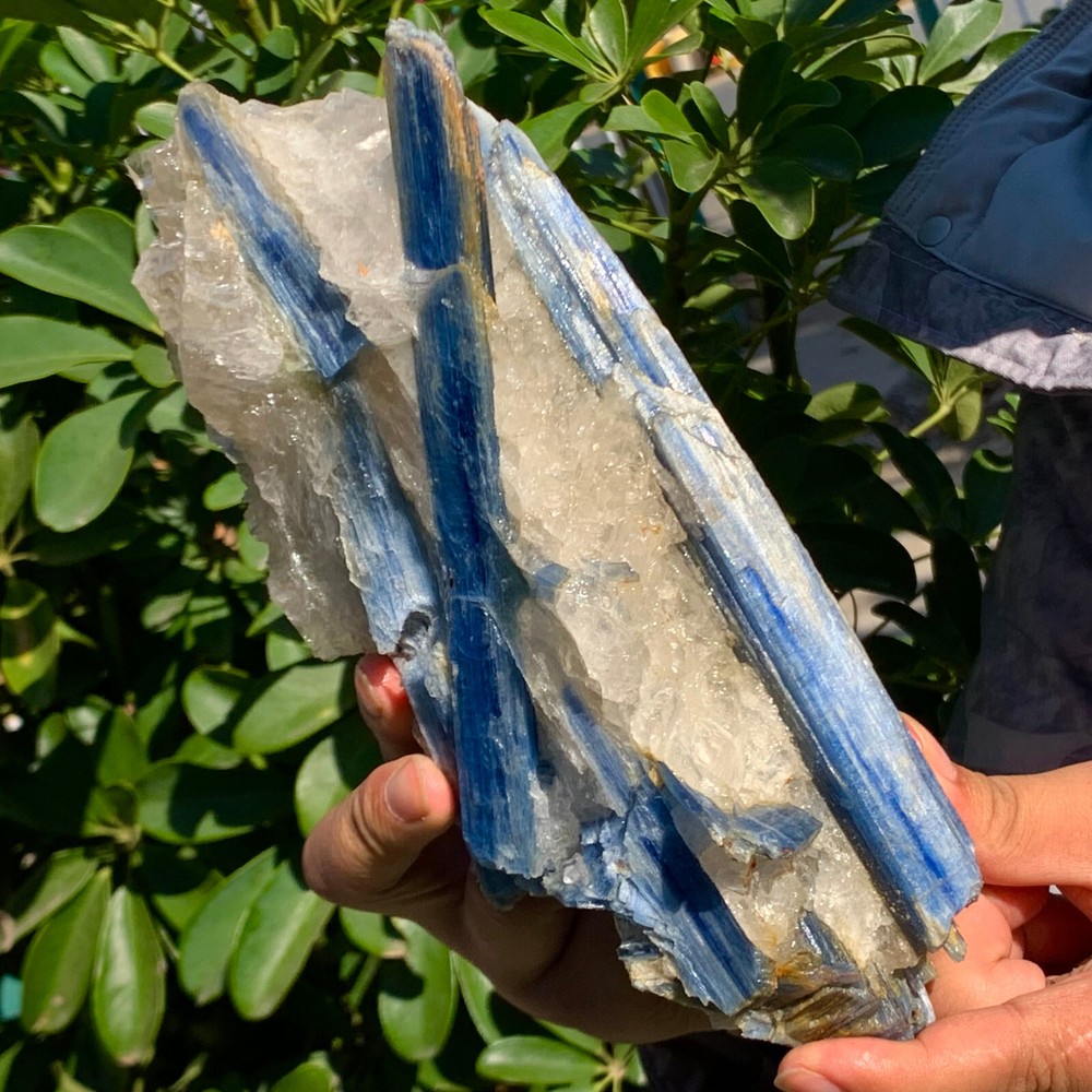 4.19LB Rare!! Natural beautiful Blue KYANITE with Quartz Crystal Specimen Rough