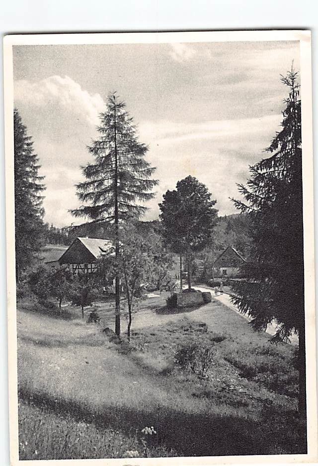 Postcard Village/ Town Trees Road Landscape Scenery