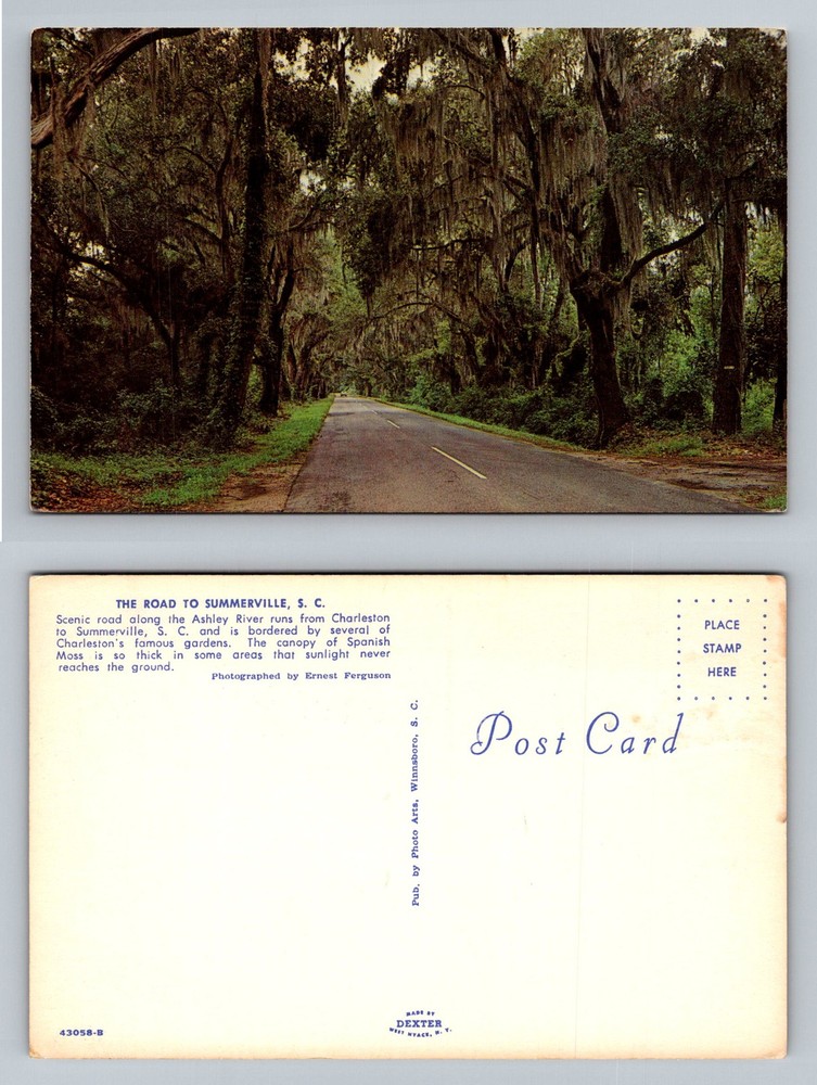 Summerville, SC-South Carolina, Along Ashley River Spanish Moss Vintage Postcard