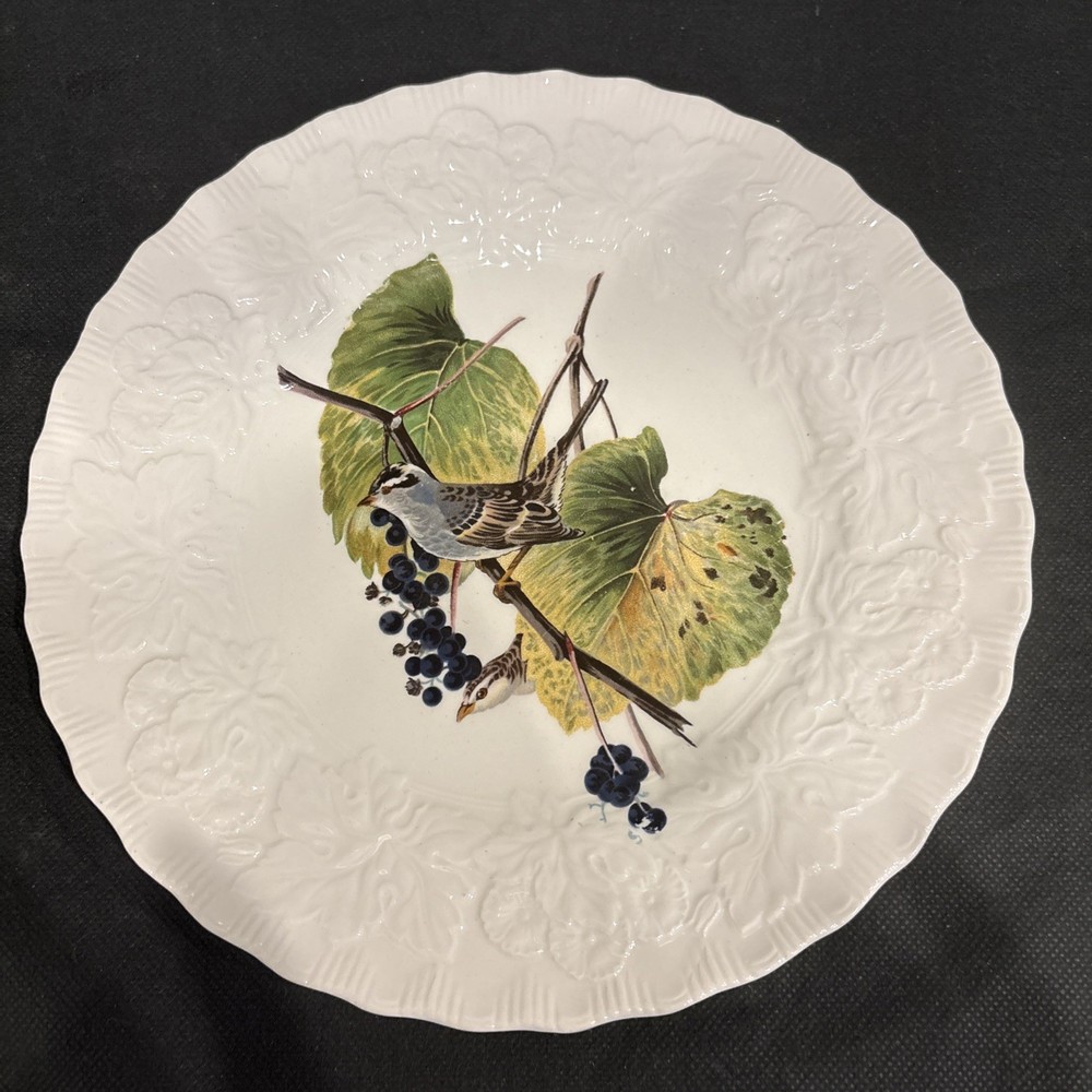 Vtg Alfred Meakin England Birds Of America 9” Plate